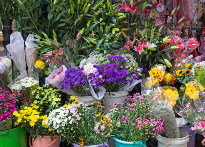 FLORICULTURAS 
